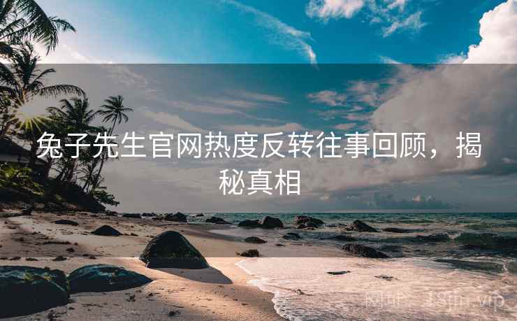 兔子先生官网热度反转往事回顾，揭秘真相