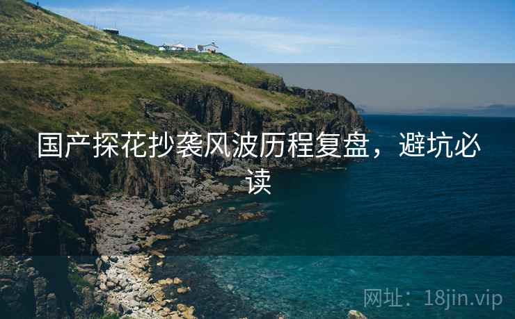 国产探花抄袭风波历程复盘，避坑必读