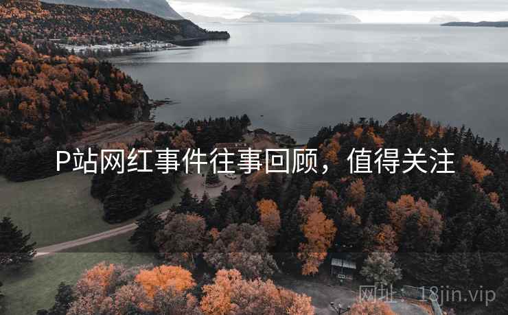 P站网红事件往事回顾，值得关注