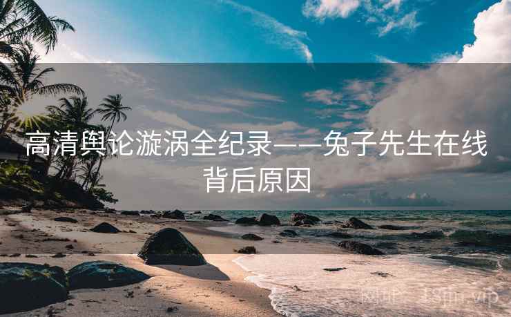 高清舆论漩涡全纪录——兔子先生在线背后原因