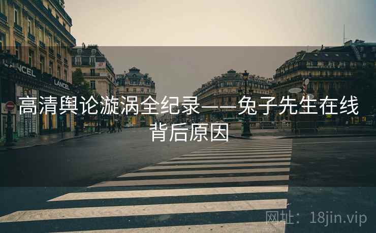 高清舆论漩涡全纪录——兔子先生在线背后原因