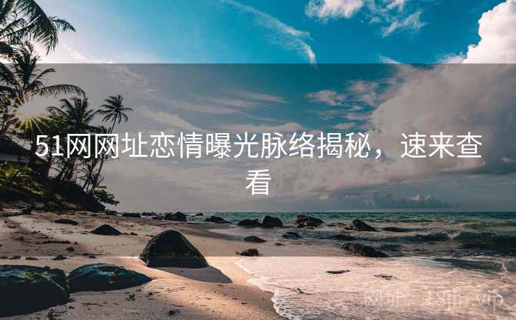 51网网址恋情曝光脉络揭秘，速来查看