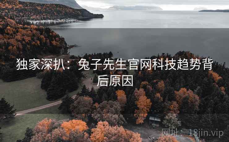 独家深扒：兔子先生官网科技趋势背后原因