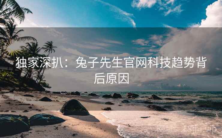 独家深扒：兔子先生官网科技趋势背后原因