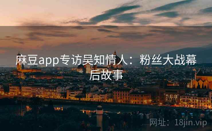 麻豆app专访吴知情人：粉丝大战幕后故事