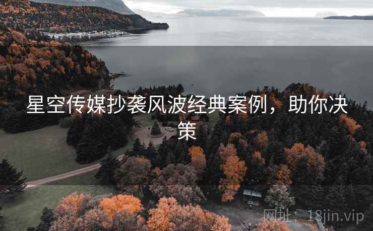 星空传媒抄袭风波经典案例，助你决策