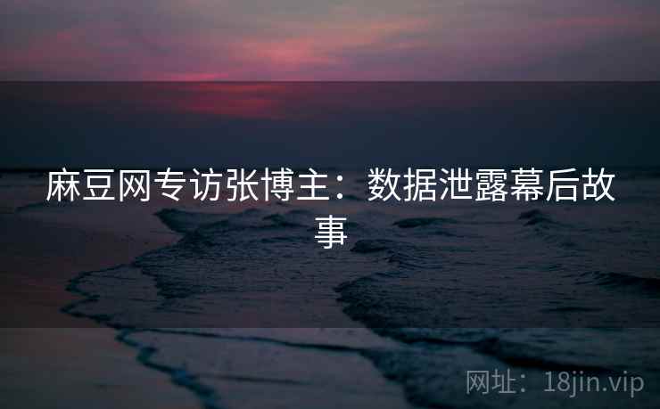 麻豆网专访张博主：数据泄露幕后故事