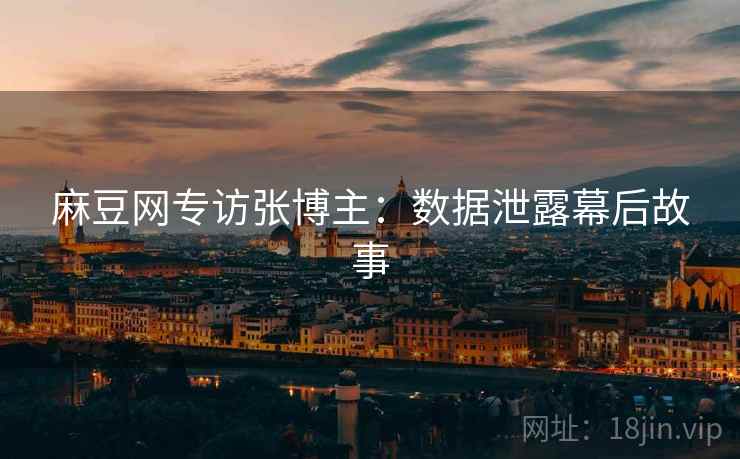 麻豆网专访张博主：数据泄露幕后故事