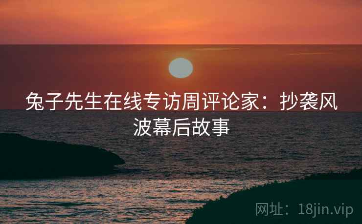 兔子先生在线专访周评论家：抄袭风波幕后故事