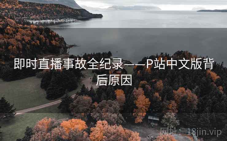 即时直播事故全纪录——P站中文版背后原因