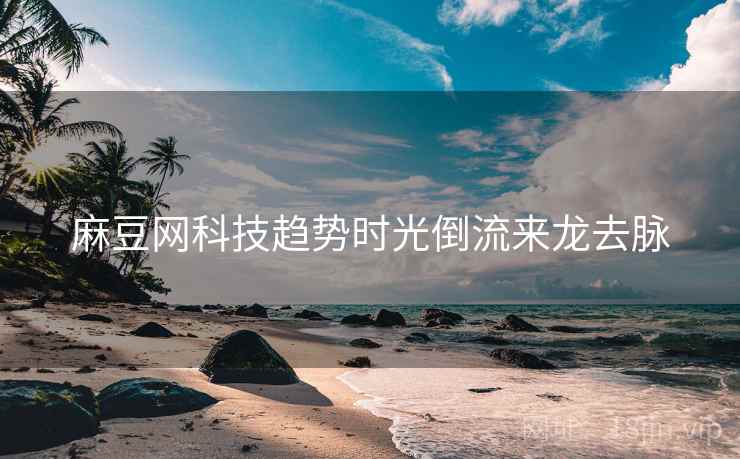 麻豆网科技趋势时光倒流来龙去脉