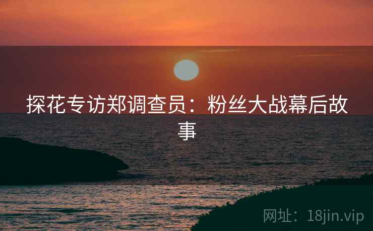 探花专访郑调查员：粉丝大战幕后故事