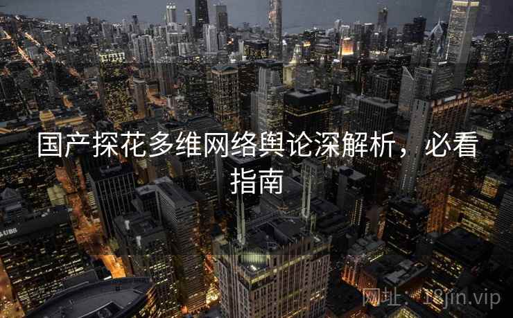 国产探花多维网络舆论深解析，必看指南